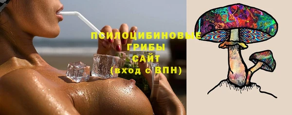 не бодяженный Новозыбков