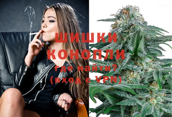 не бодяженный Новозыбков