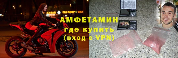 сатива Болхов