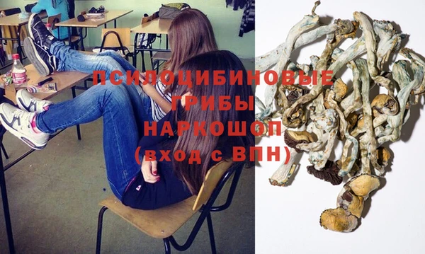 apvp Новокубанск