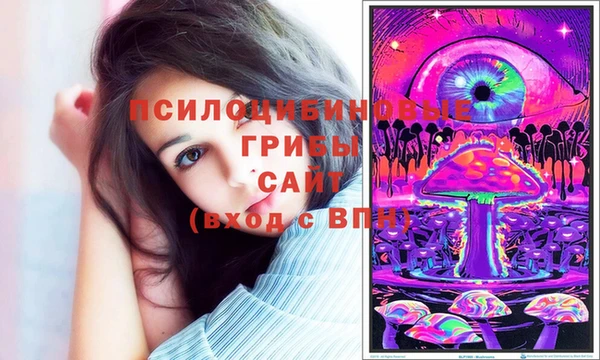 не бодяженный Новозыбков